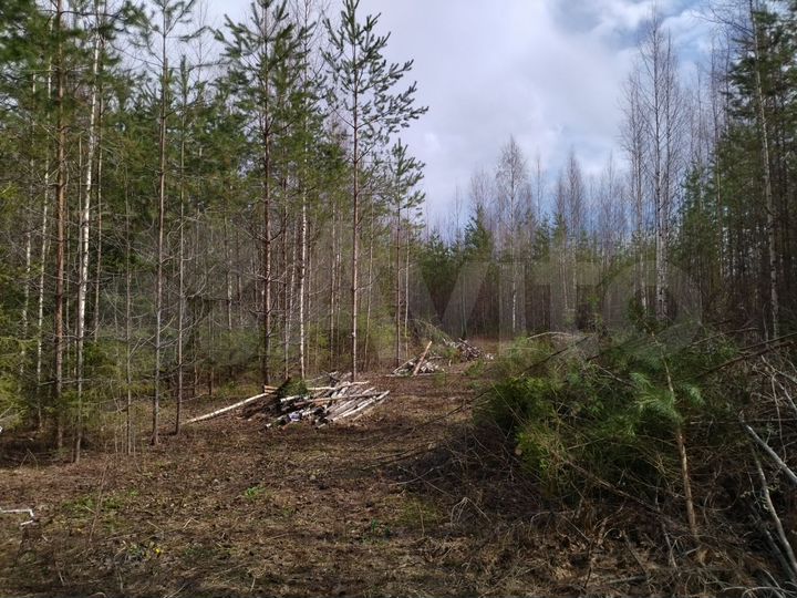 Участок 1,01 га (ИЖС)