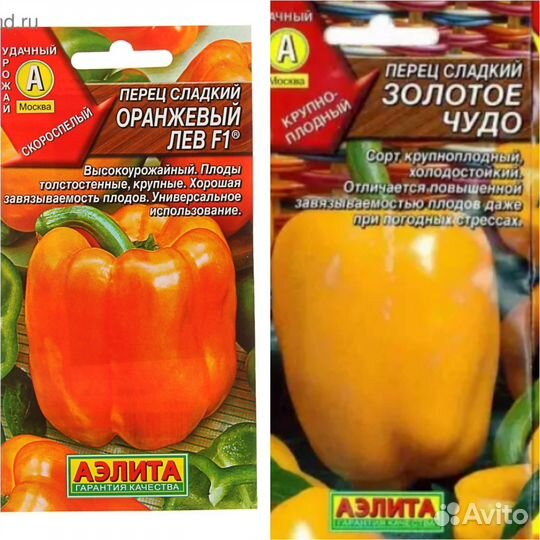 Рассада перца сладкого