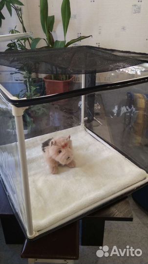 Выставочная палатка для кошек и мелких собак