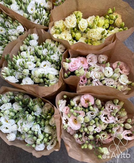 Нежные Лизиантусы с Доставкой. Свежие Цветы