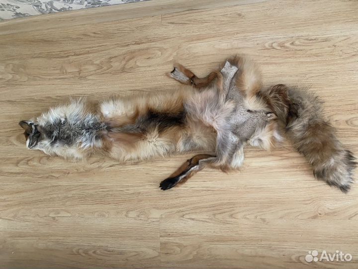 Горжетка / мех / шкура лисы