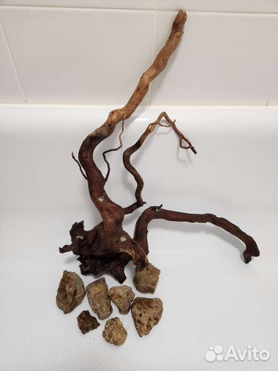 Коряга мангровая и камни под готовый дизайн