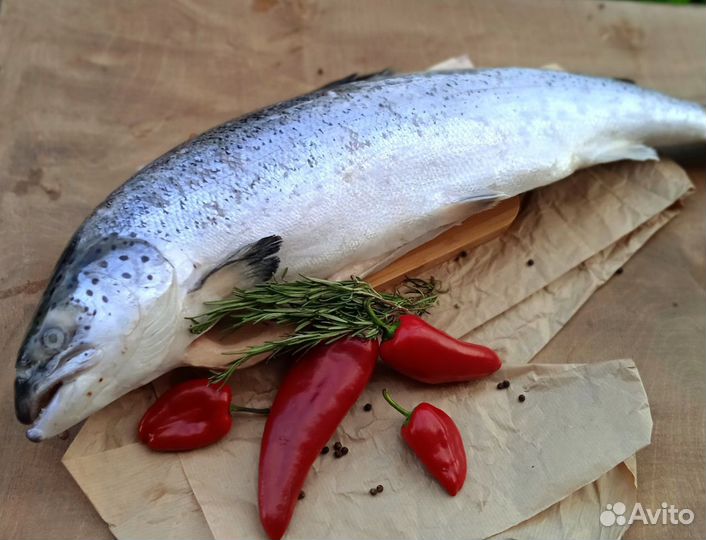 Горбуша/семга