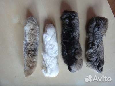 Лакомство для собак