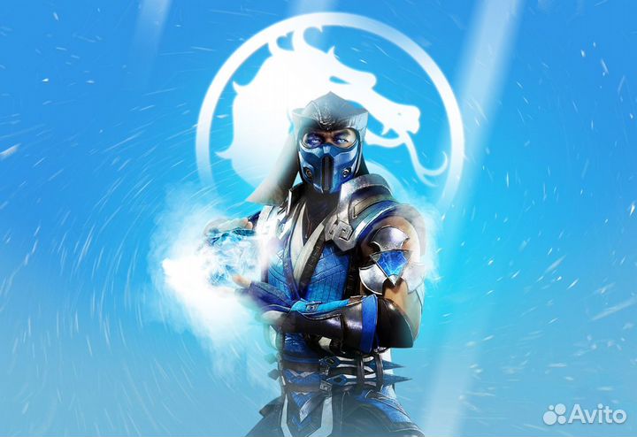 Mortal Kombat 11 PS5/PS4 Владикавказ