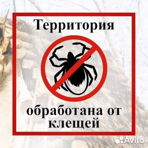 Акарицидная обработка участка от клещей