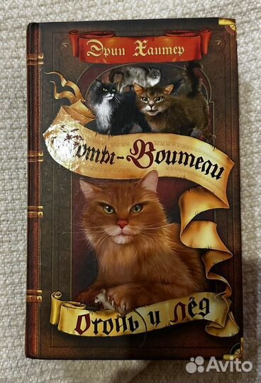 Коты-Воители