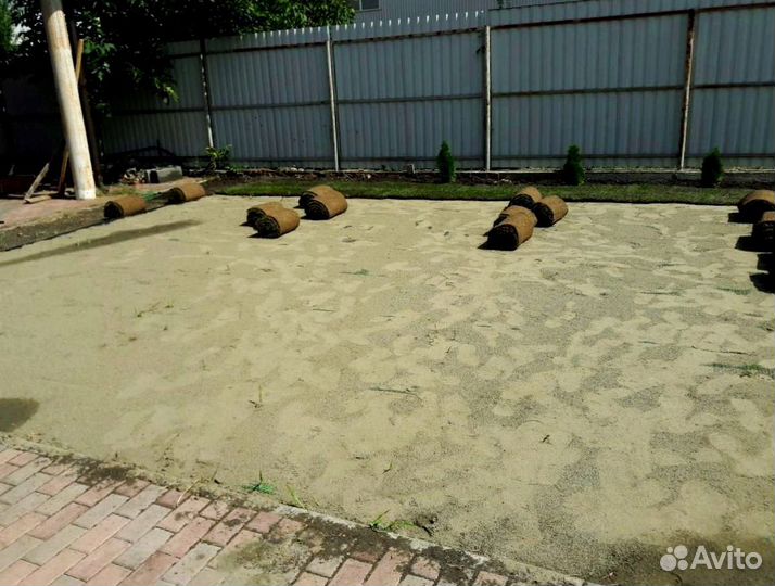 Рулонный газон