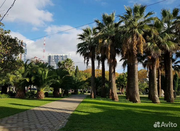 Экскурсии Сочи 7 дней питание и прожив