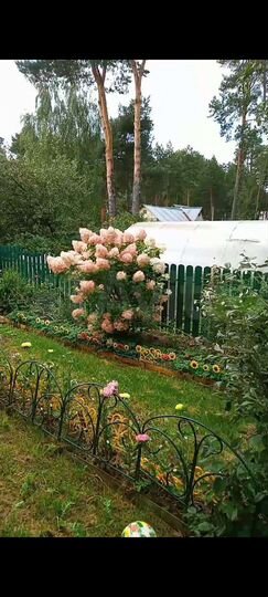 3-к. квартира, 80 м², 1/1 эт.