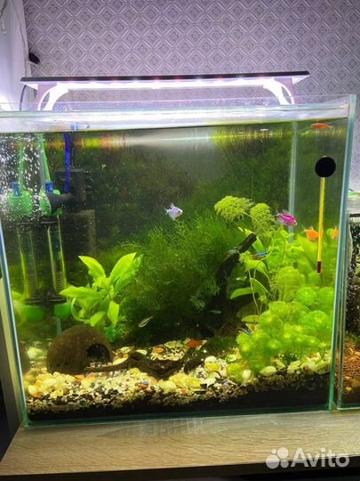 Аквариум