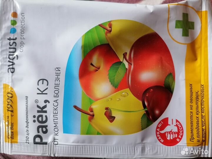 Растения для сада