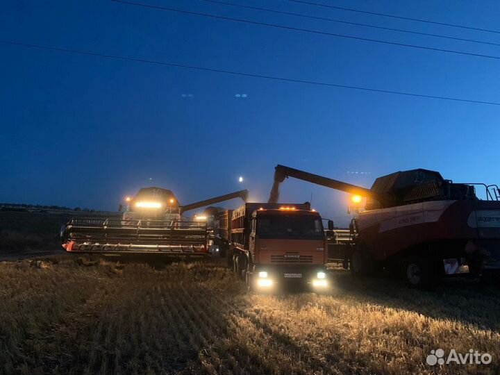 Камаз с прицепом зерновоз сельхозник