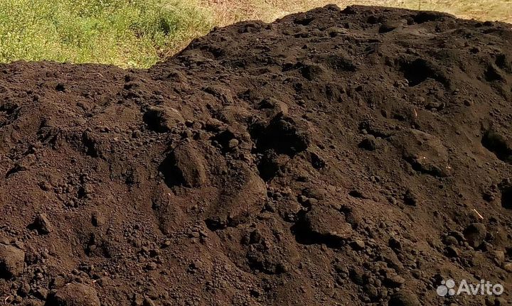 Торф низинный