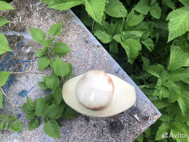 Керамический кувшин для вина : ростов на дону 1749