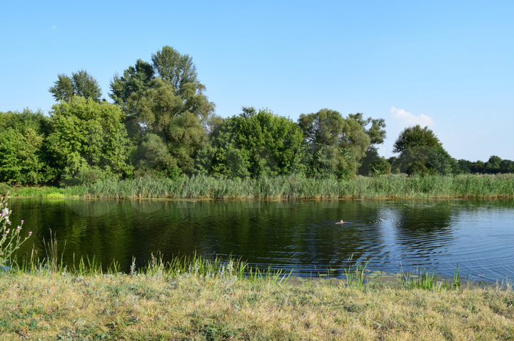 Дом 50 м² на участке 25 сот.