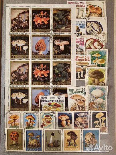 Флора и фауна 2