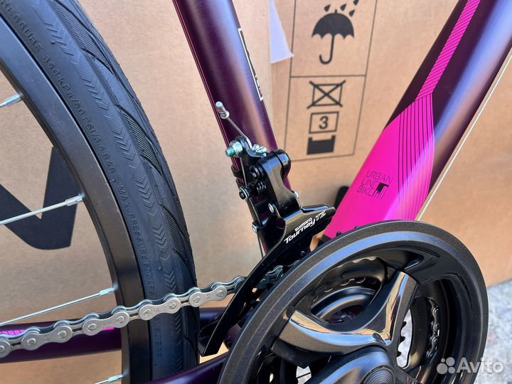 Женский Stern Urban Lady