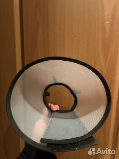 Воротник для собак