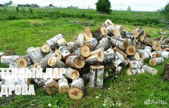 Дрова из ольхи
