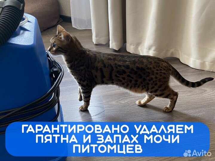 Химчистка мягкой мебели, матрасов, ковров