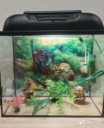 Аквариум 30 л