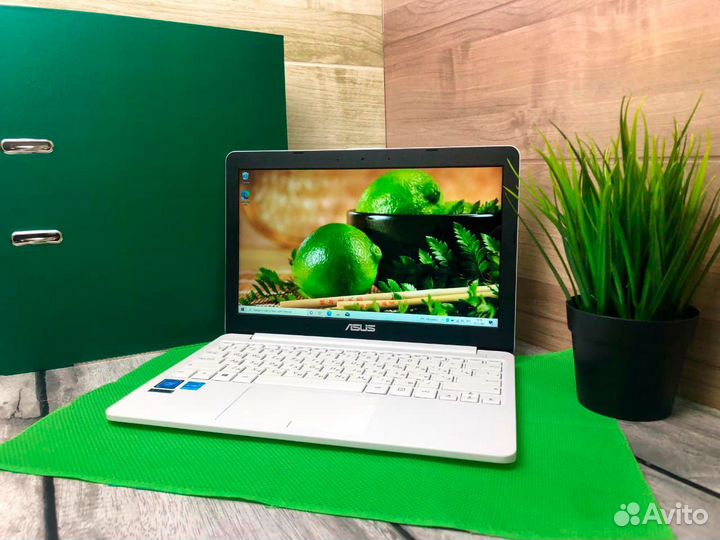 Ноутбук Asus на Intel/SSD/11.6