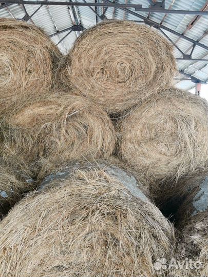 Сено в тюках