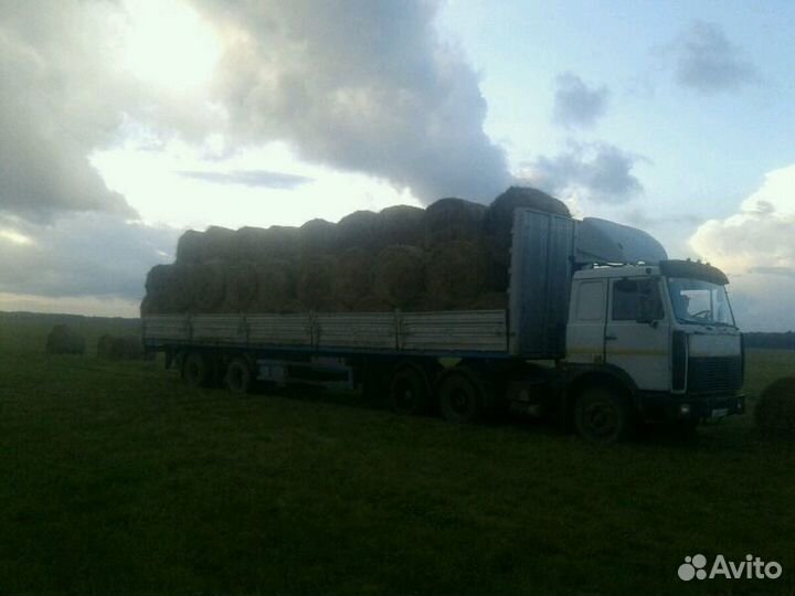 Предлагаю приобрести сено с доставкой от одного ру