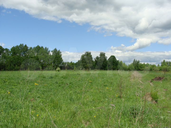 Участок 1,6 га (ИЖС)