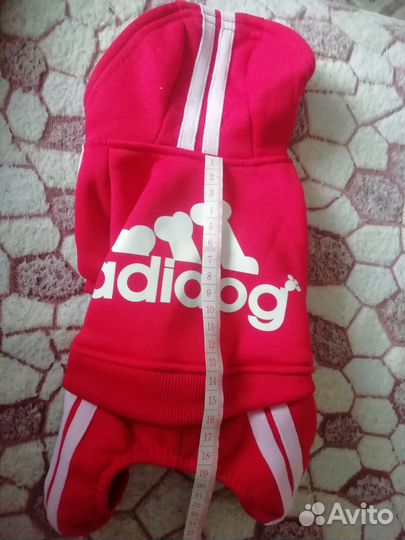 Одежда для собак мелких пород девочек