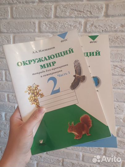 Окружающий мир 2 класс плешаков /для тренировки