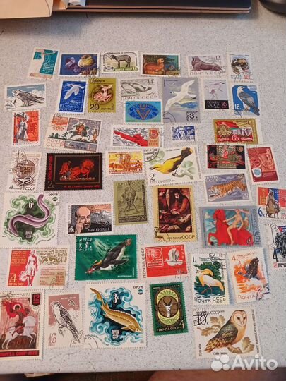 Почтовые марки СССР и мира