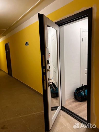 Дверь входная с зеркалом