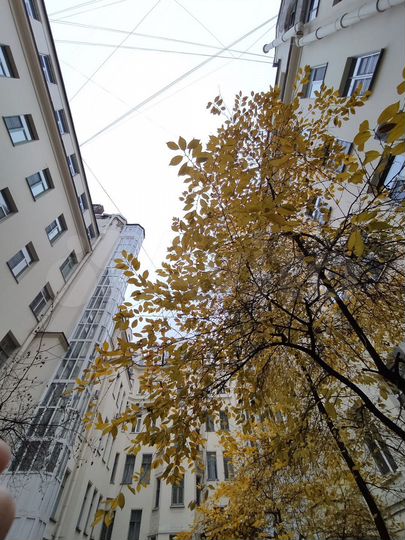 Комната 14 м², 1/5 эт.