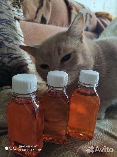 Лососевое масло для животных