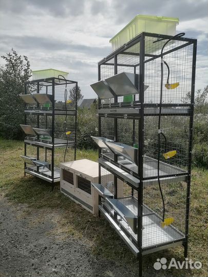 Клетка для бройлеров
