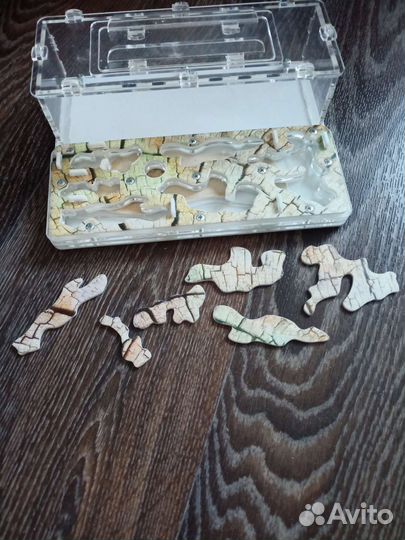 Муравьиная ферма без муравьев