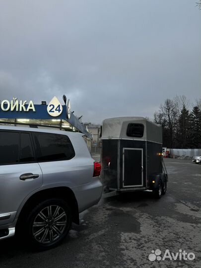 Попутный коневоз