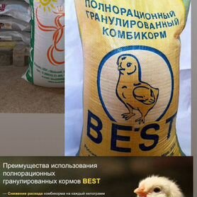 Комбикорм best для всех