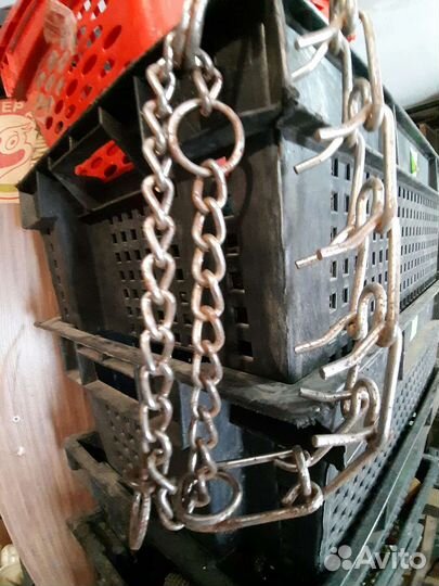 Строгий ошейник для собак