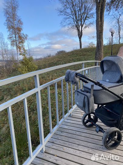 Коляска adamex reggio 2 в 1