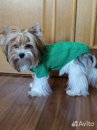 Комбинезон, свитера