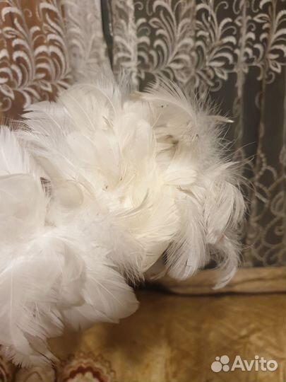 Перья на вставке