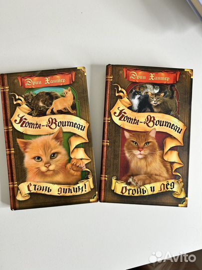 Книга Коты-Воители