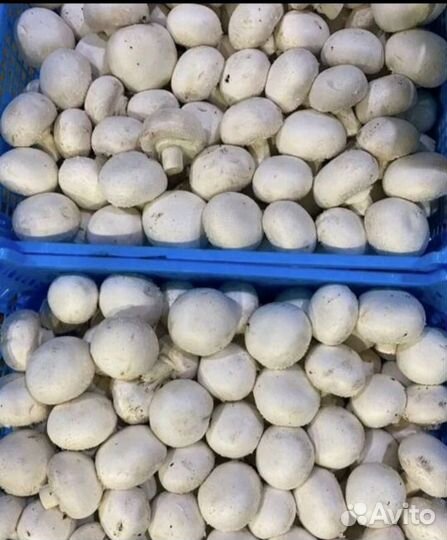 Доставка овощей и фруктов