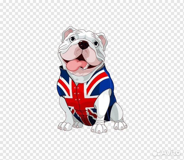 Репетитор по английскому языку