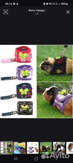 Поводок для крыс