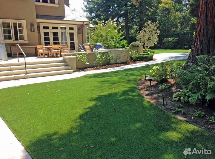 Семена газонной травы