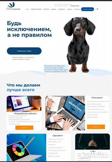 Разработка сайтов